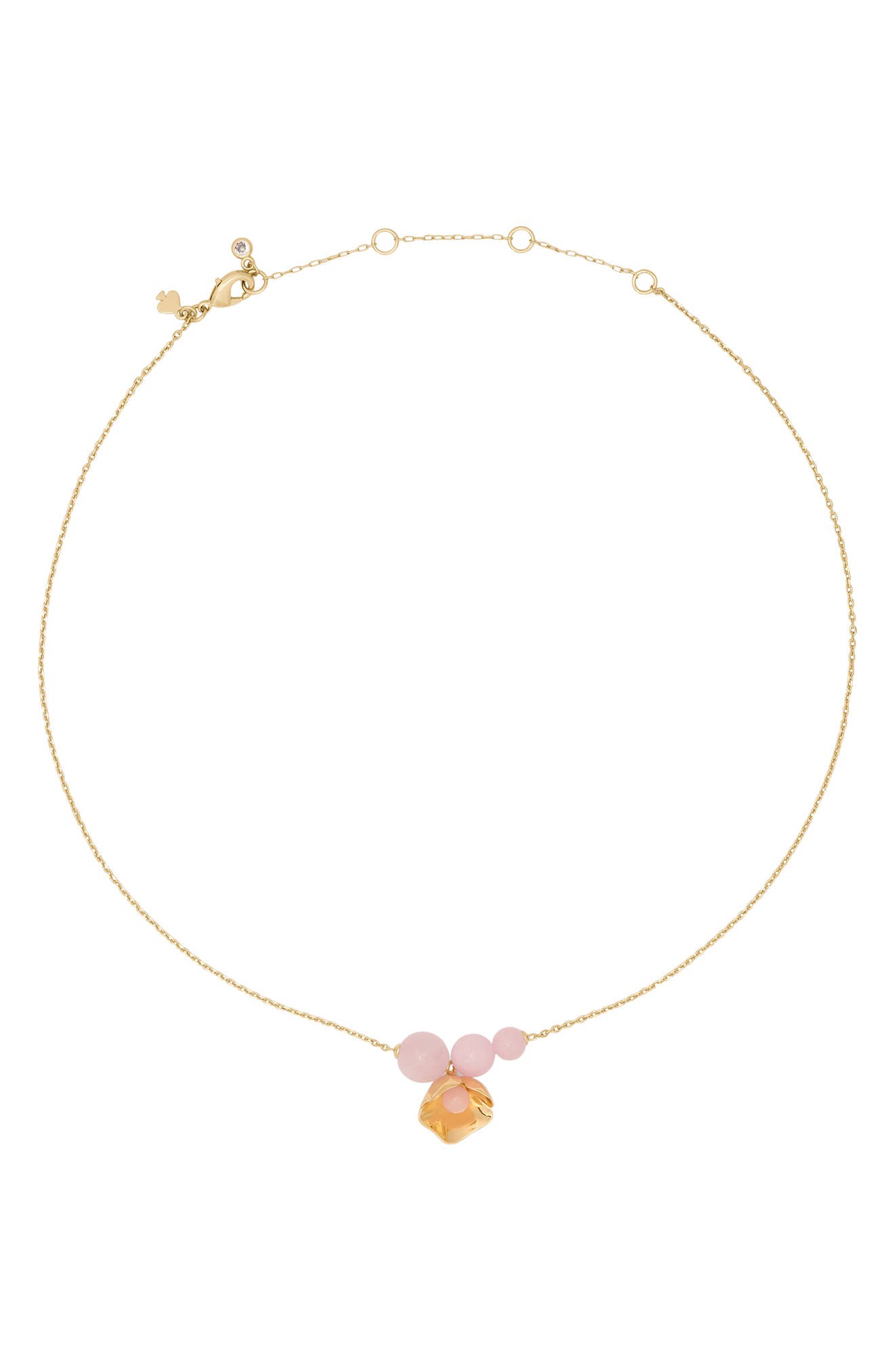 selected BLUSH
