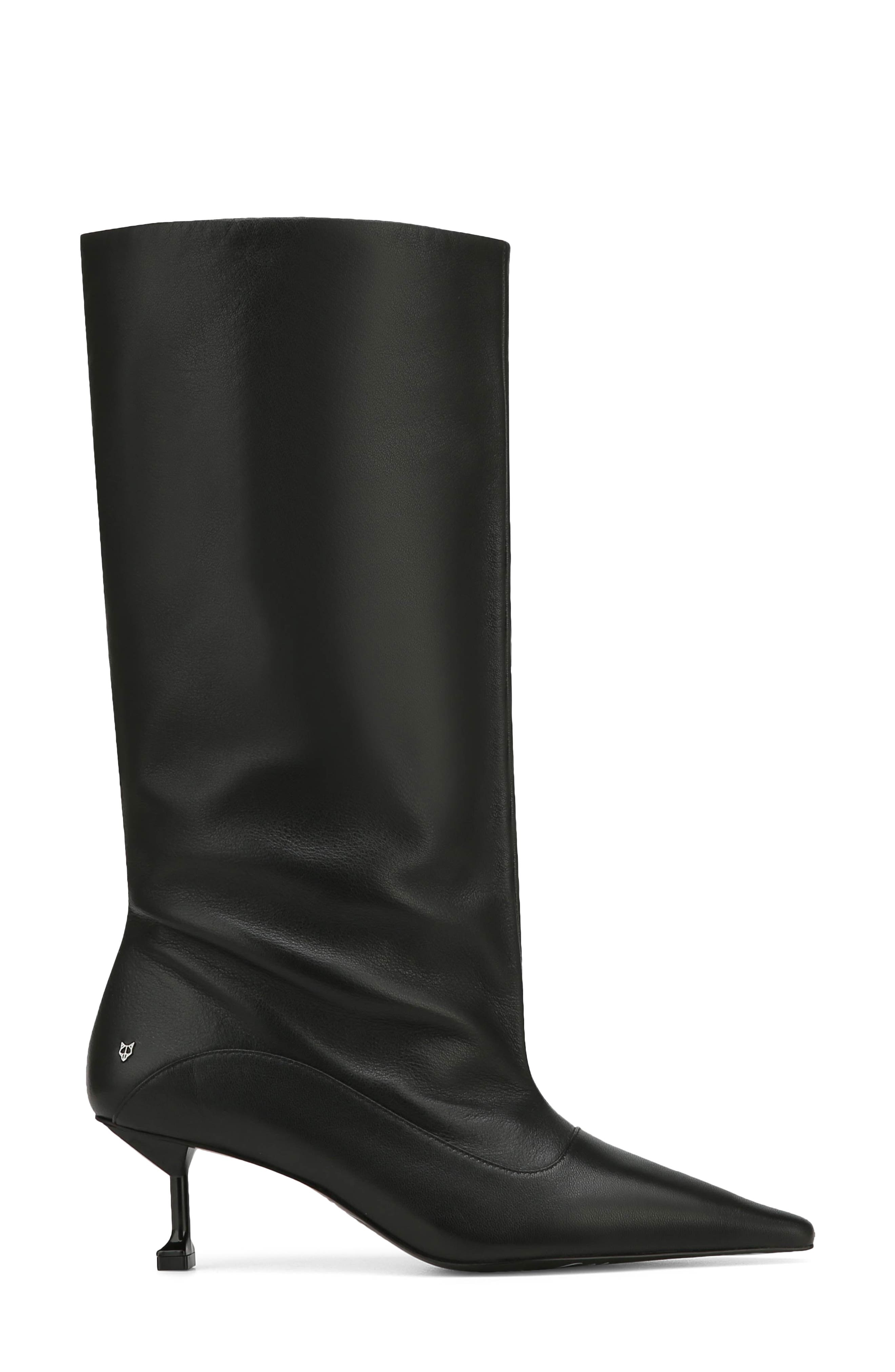 Naked Wolfe Tate Pointed Toe Tall Boot, Alternate, color, 