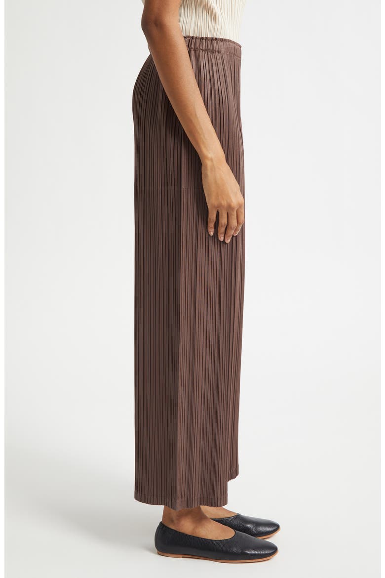 Loop Pleated Wide Leg Ankle Pants, Alternate, color, DARK BROWN