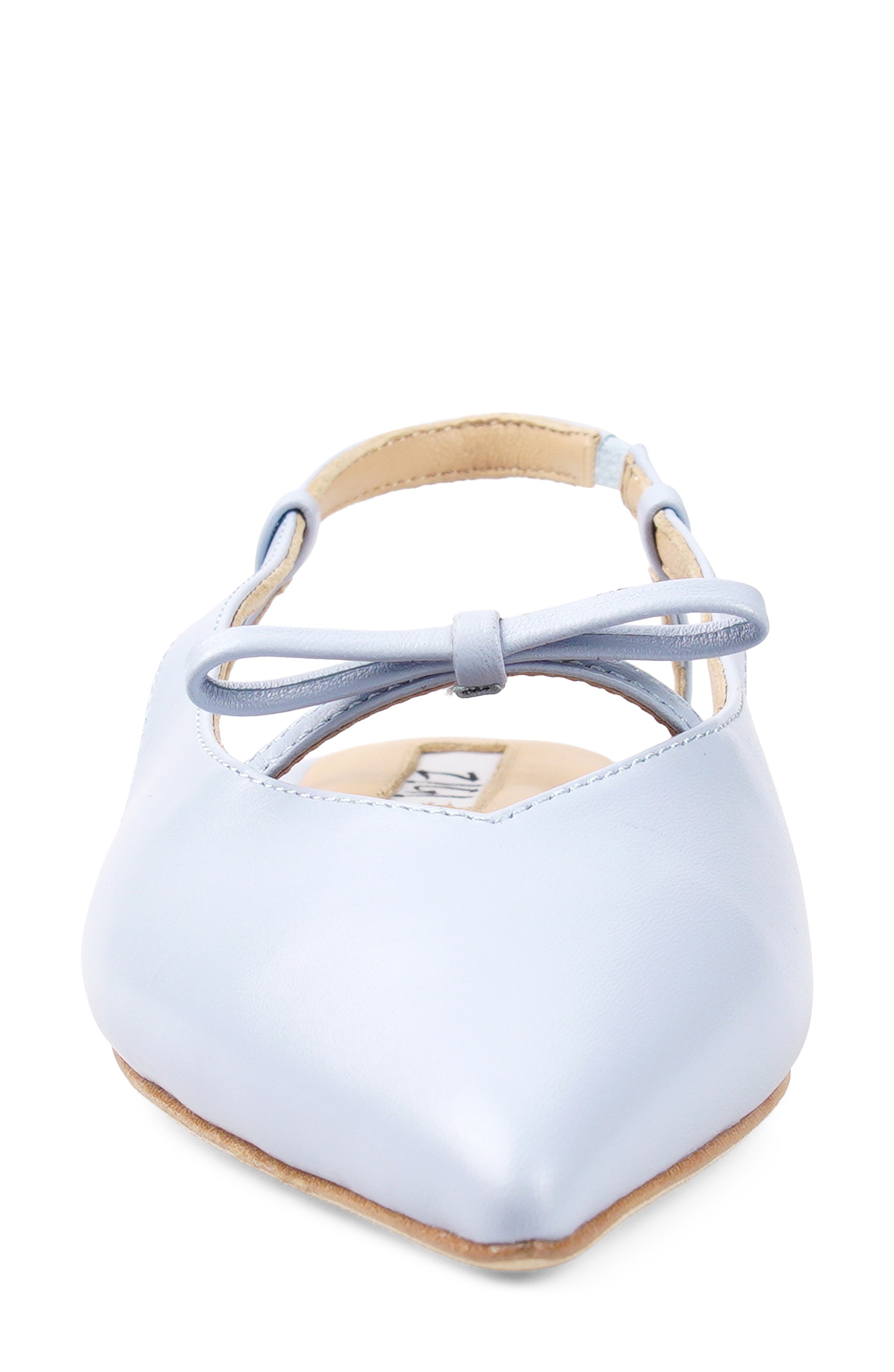 Hala Pointed Toe Slingback Flat, Alternate, color, DUSTY BLUE