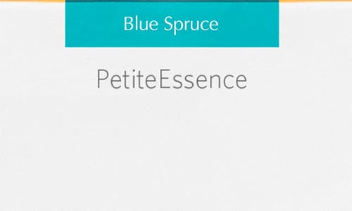 Agraria San Francisco Petiteessence Reed Diffuser In Blue
