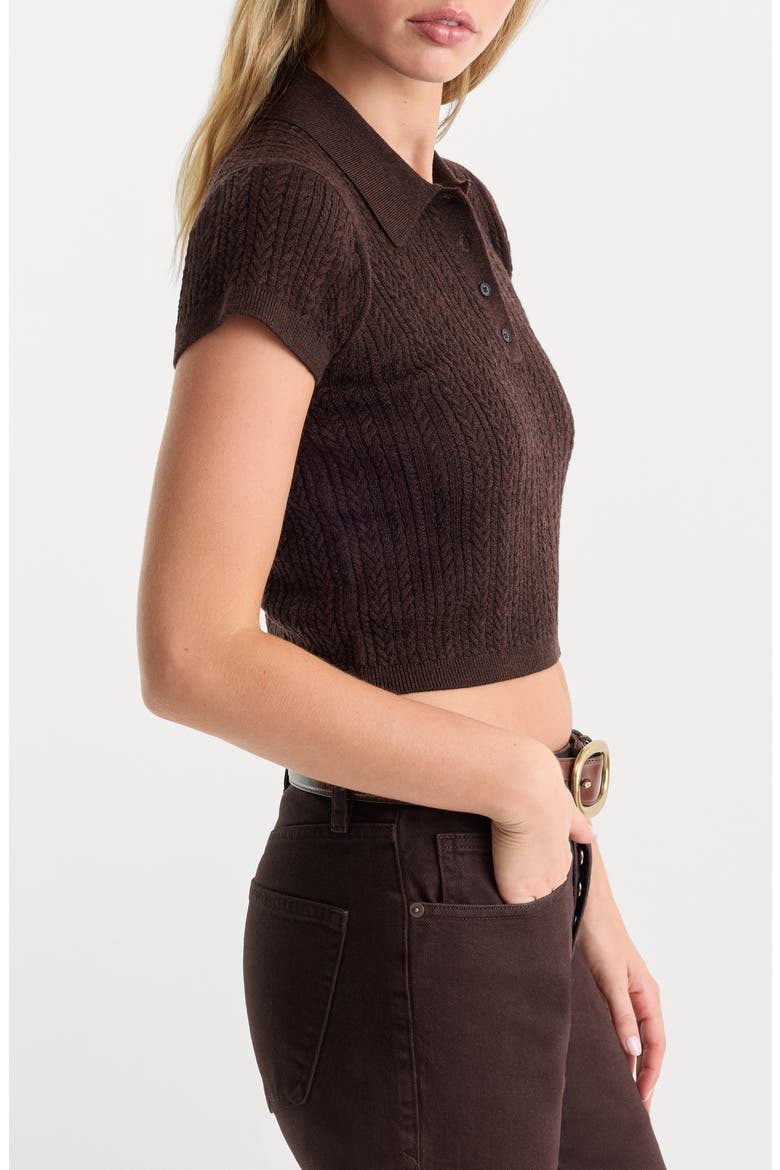The Micro Cable Merino Wool Polo, Alternate, color, ESPRESSO