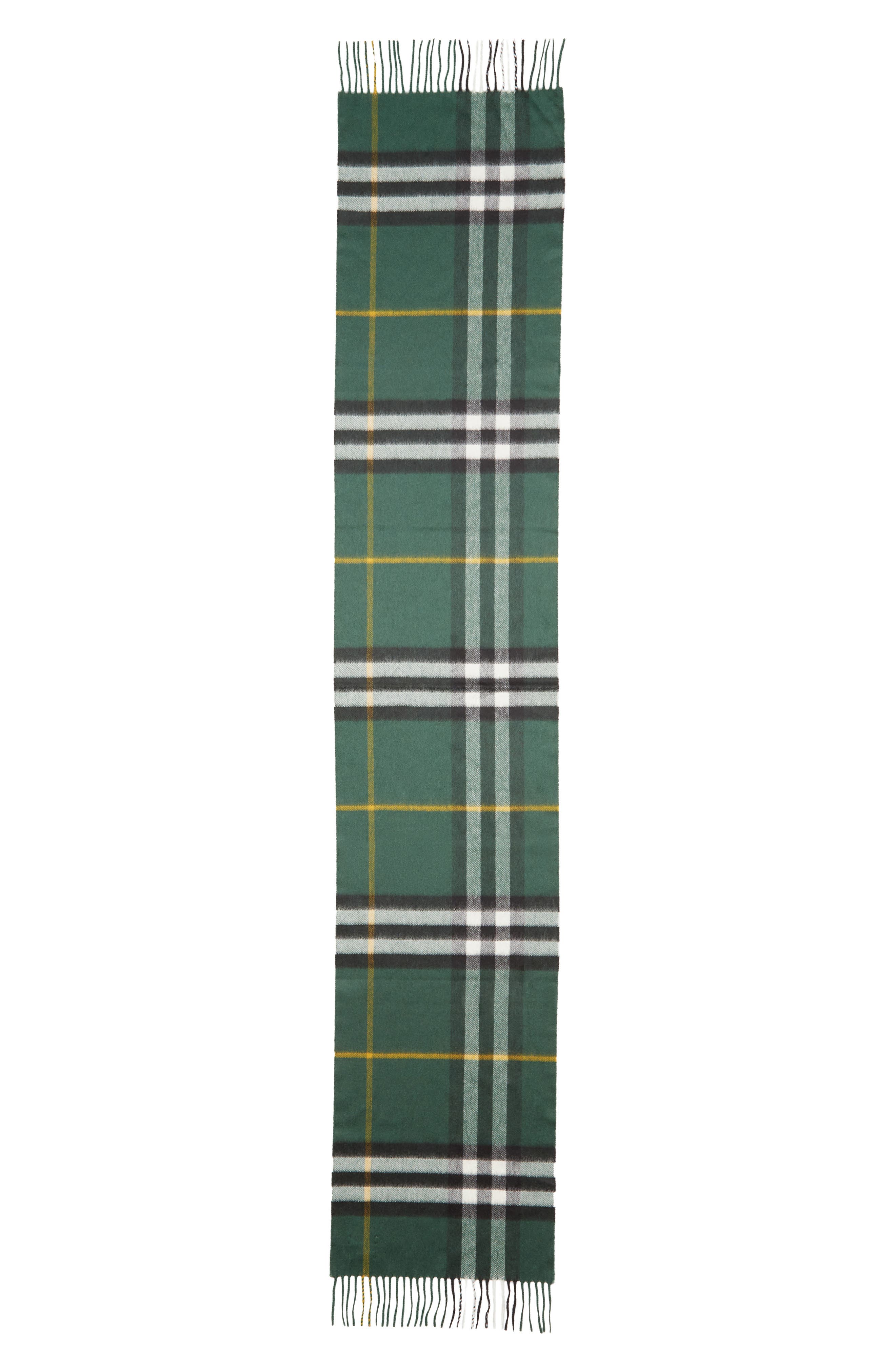 selected DARK FERN GREEN