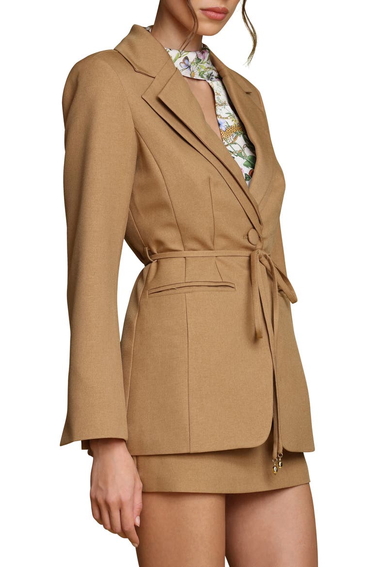 Tie Waist Cutaway Blazer, Alternate, color, HONEY
