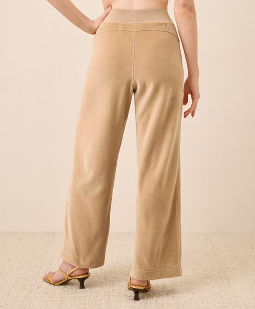Pact Organic Cotton Pure Velour Wide Leg Pant In Brown