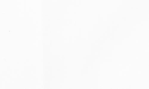 Lorenzo Uomo Trim Fit Herringbone Cotton Dress Shirt In White