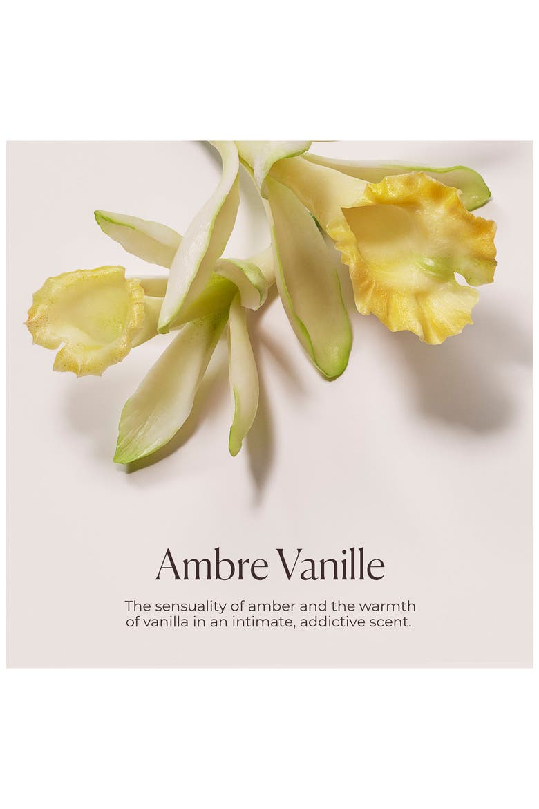 Honey Bath, Alternate, color, AMBRE VANILLE