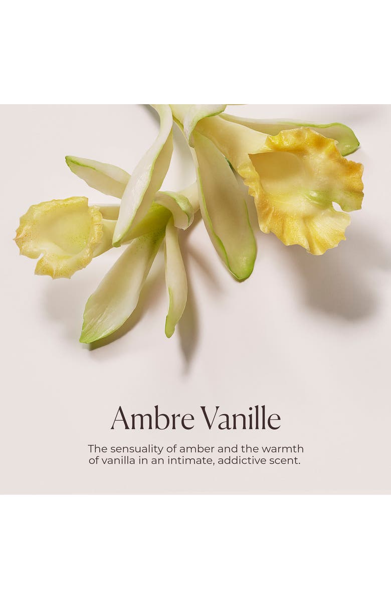 Laura Mercier Honey Bath, Alternate, color, Ambre Vanille