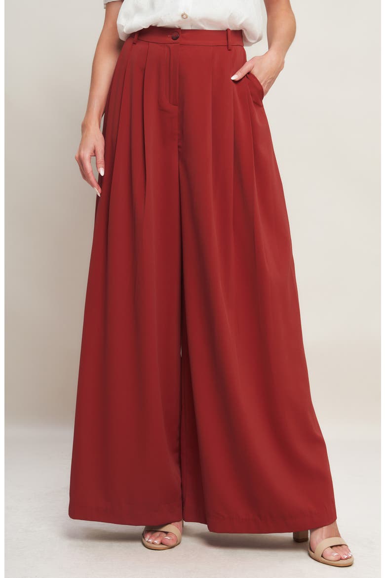 Pleated Front Wide Leg Pants, Alternate, color, RUBY