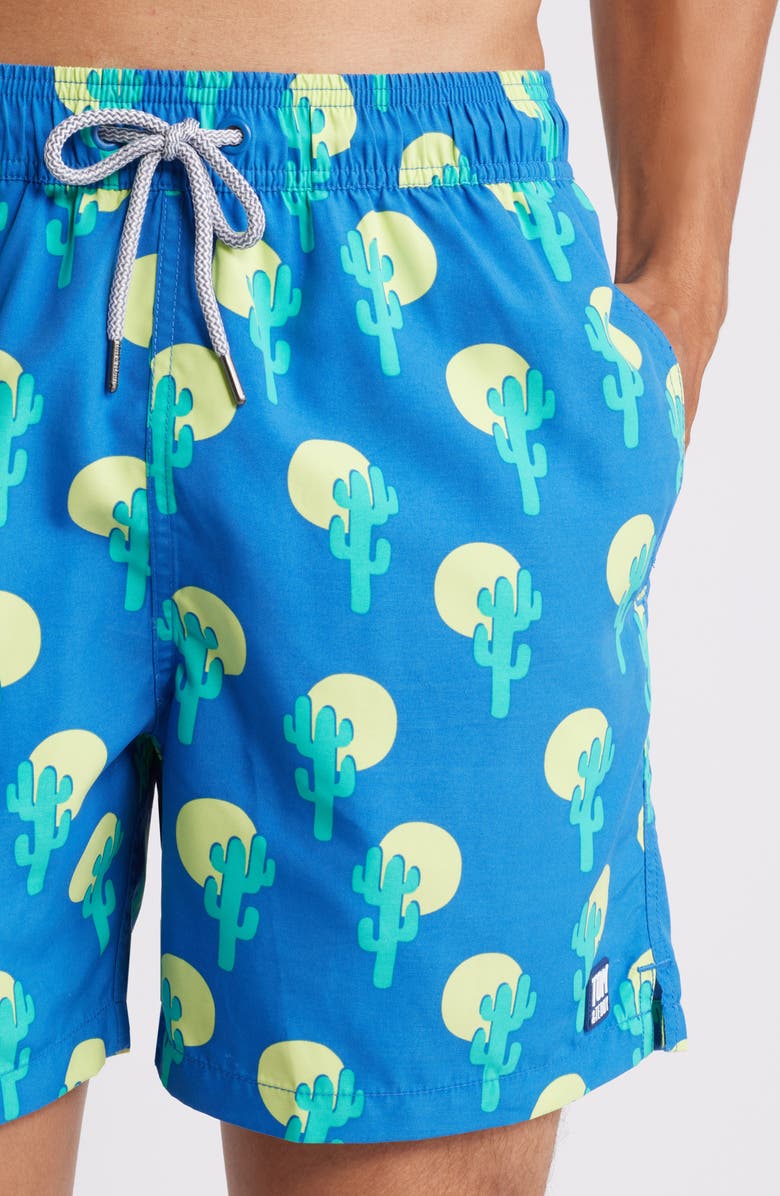 Tom & Teddy Cactus Swim Trunks, Alternate, color, Blue & Green