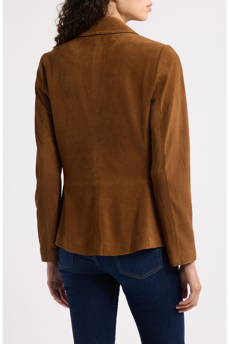 Adeline Suede Leather Fringe Jacket, Alternate, color, DARK SABLE