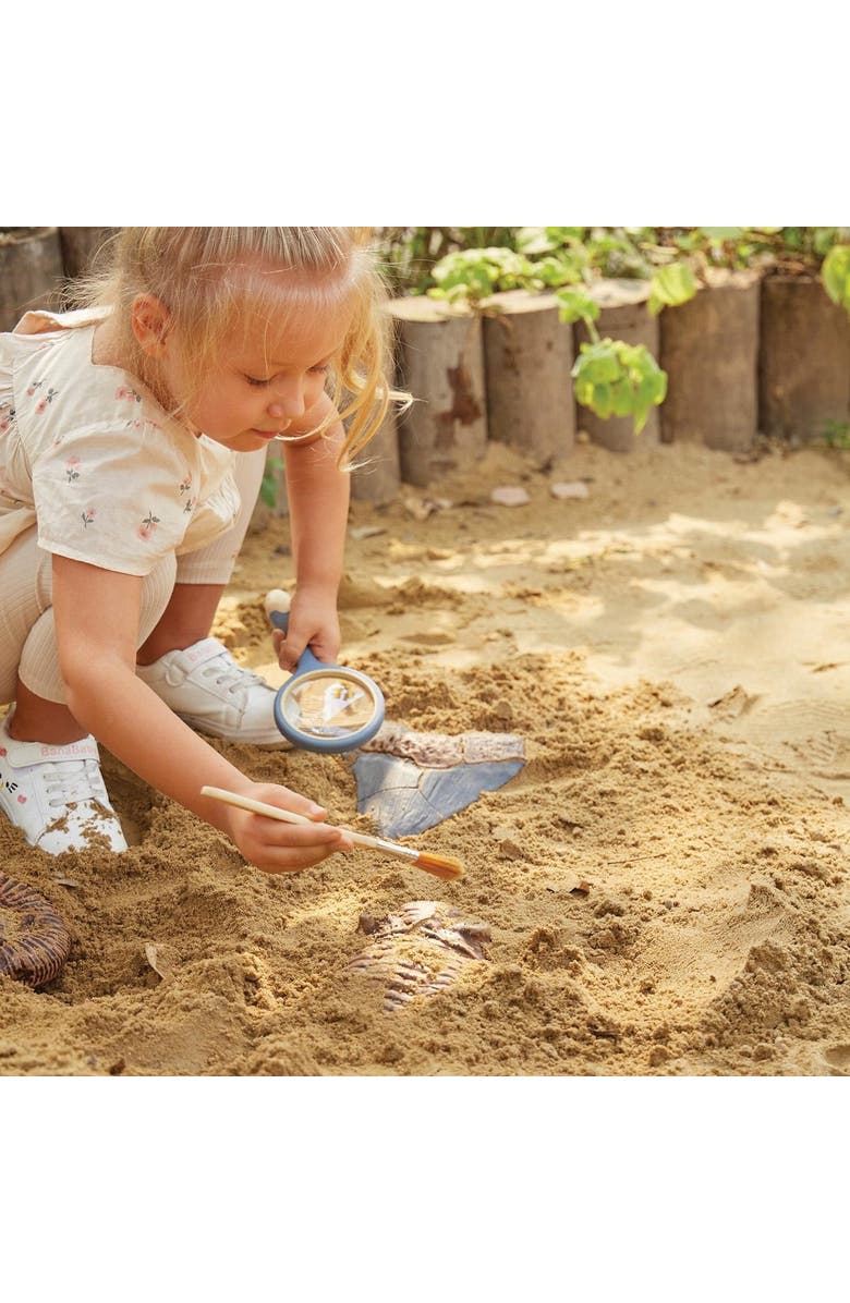 Kaplan Early Learning Company Magnetic Fossil 3D Puzzle - Trilobite - 6 Pieces, Alternate, color, Multicolor