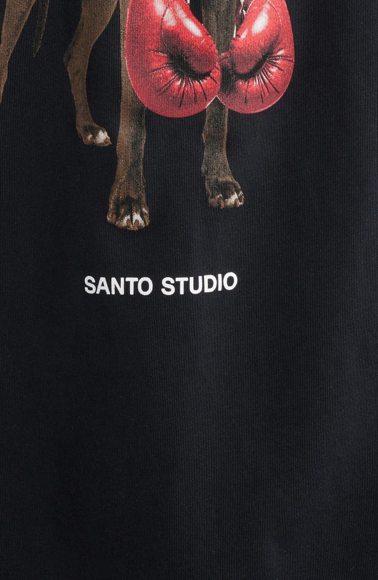 SANTO STUDIO Success Drappo Graphic T-Shirt, Alternate, color, Black