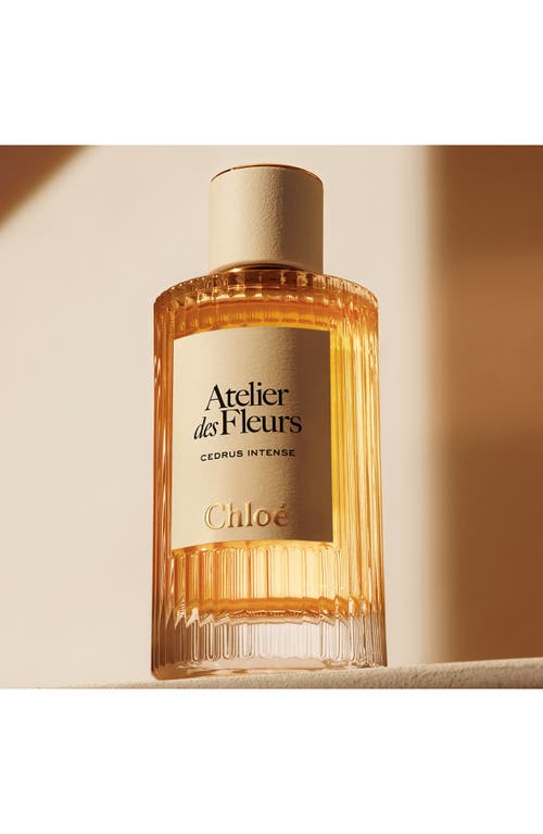 Chloé Atelier Des Fleurs Cedrus Intense Eau De Parfum For Women In No Color