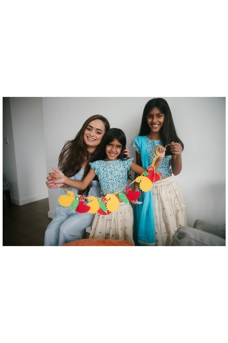 Diwali Festivals of Lights Kit, Alternate, color, MULTI COLOR