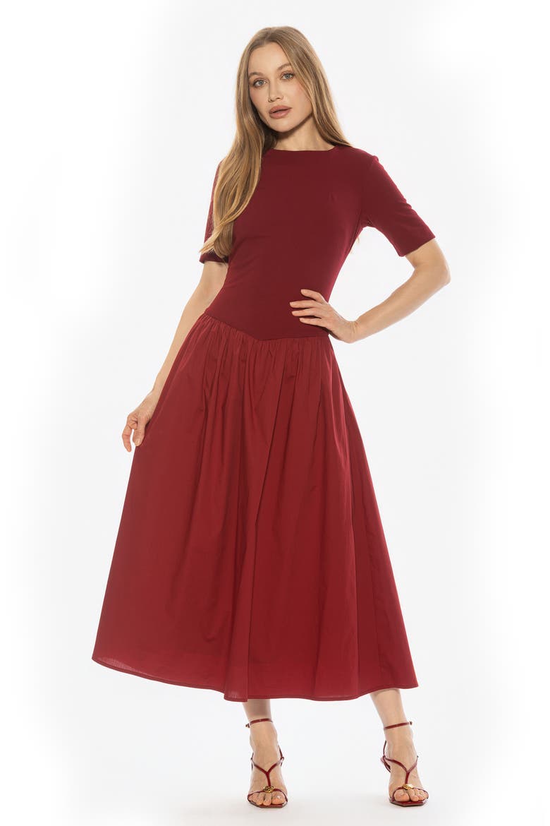 Rowan Crewneck Midi Dress, Alternate, color, BURGUNDY