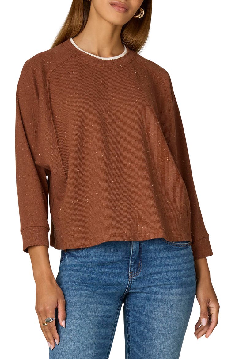 Raglan Sleeve Rib Top, Main, color, TOASTED CI