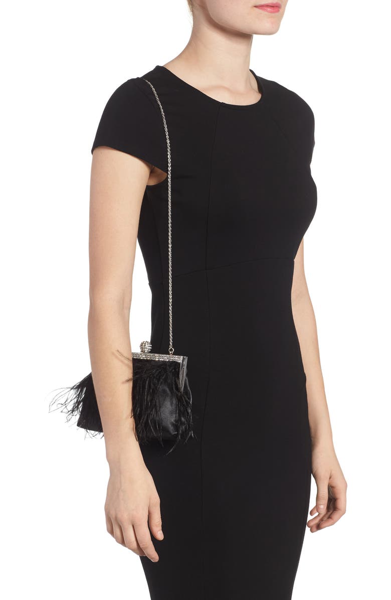 Nina Breena Feather Trim Frame Clutch, Alternate, color,