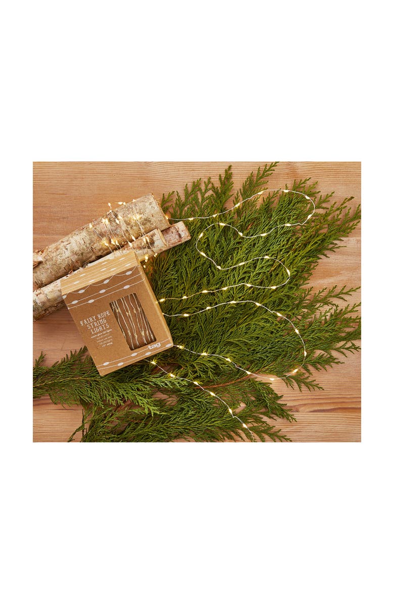 tag Fairy Rope LED String Lights White Indoor Decorative Lighting, Alternate, color, White