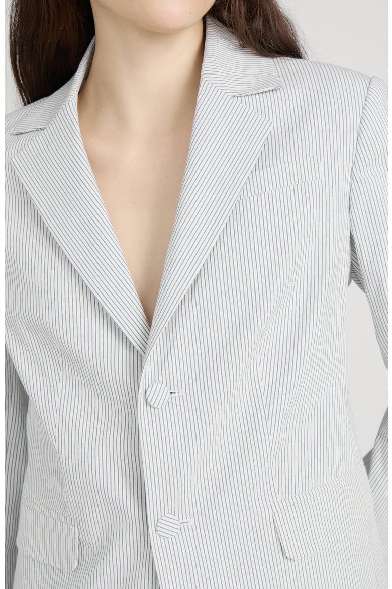 The Stripe Classic Blazer, Alternate, color, NAVY MULTI