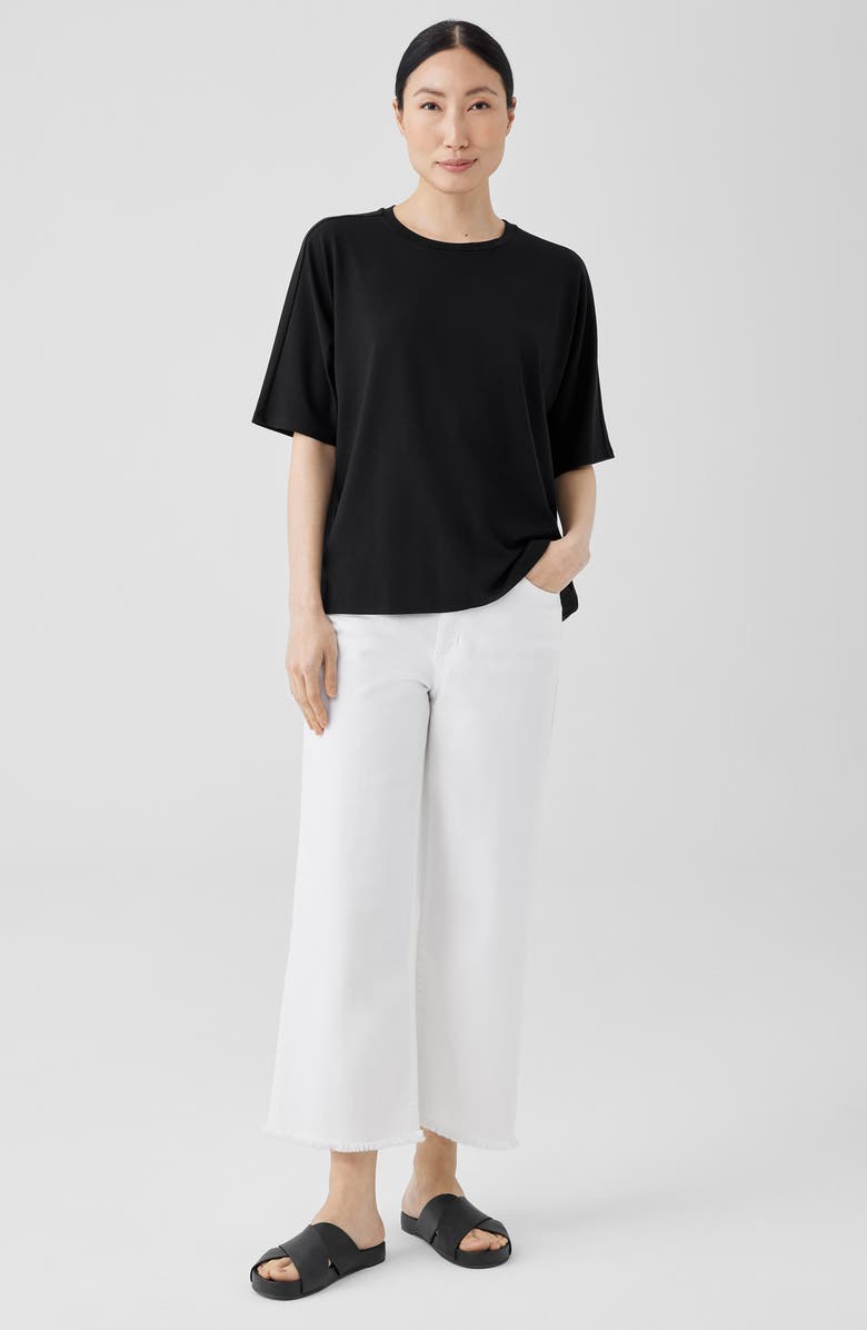 Eileen Fisher Boxy Crewneck T-Shirt, Alternate, color,