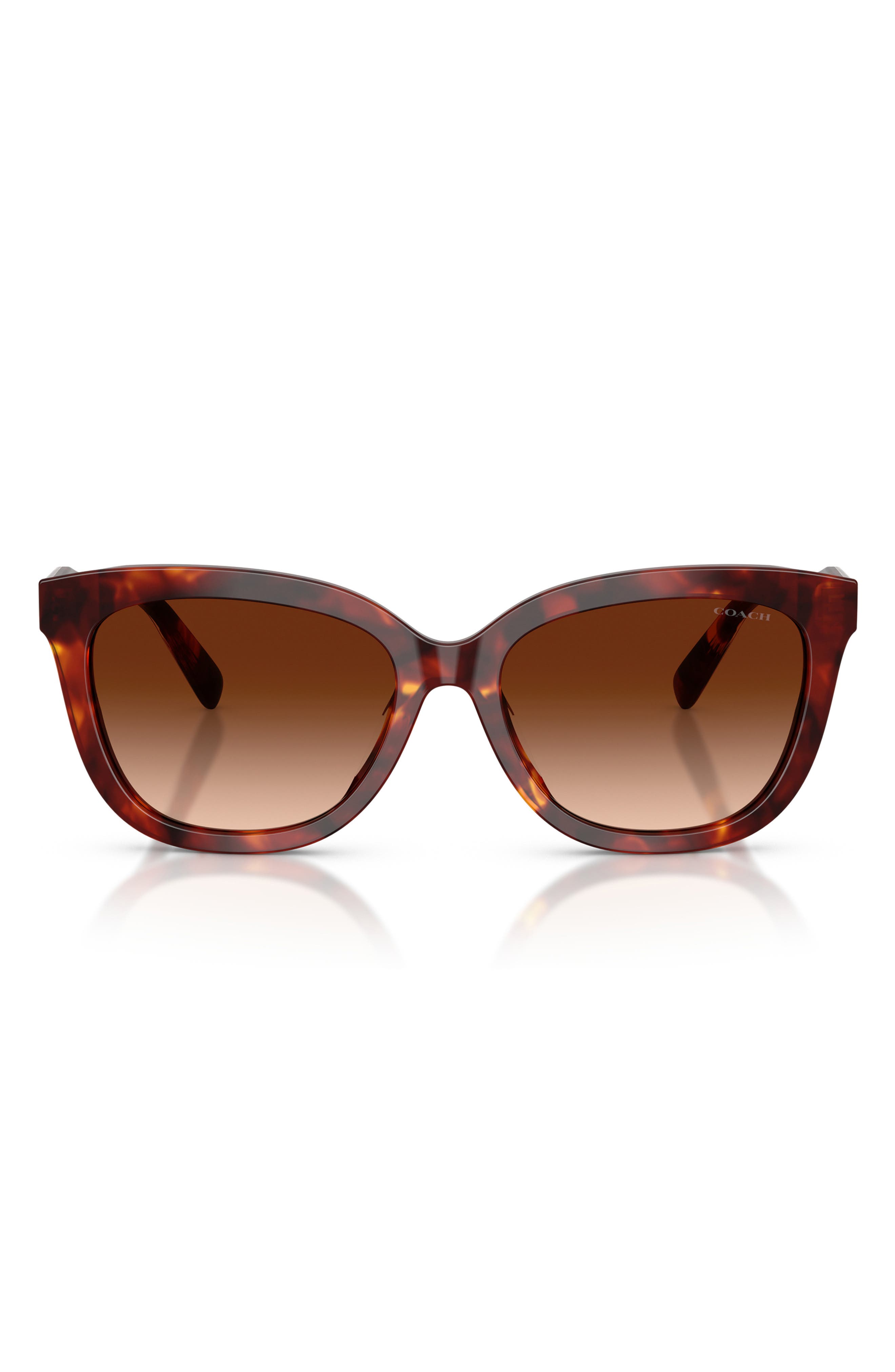 WALNUT TORTOISE / BROWN GRADIENT
