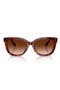  Walnut Tortoise / Brown