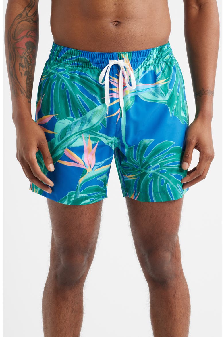 The Blue Birds of Paradise 5.5-Inch Swim Trunks, Main, color, MEDIUM BLUE