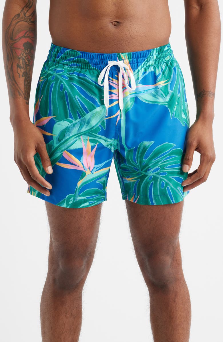 Chubbies The Blue Birds of Paradise 5.5-Inch Swim Trunks, Main, color, Medium Blue