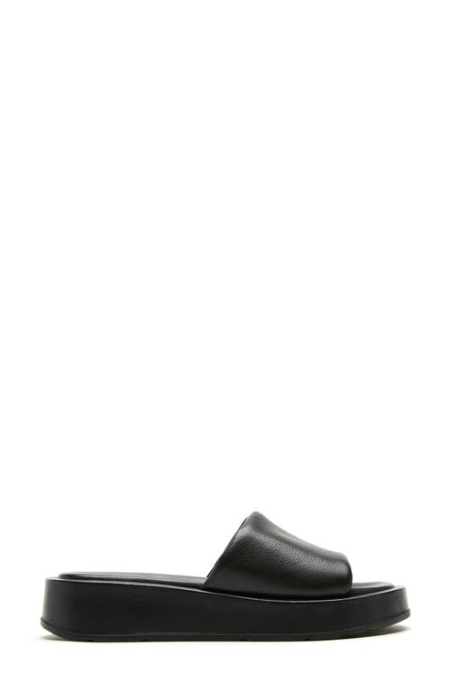 Shop La Canadienne Ami Slide Sandal