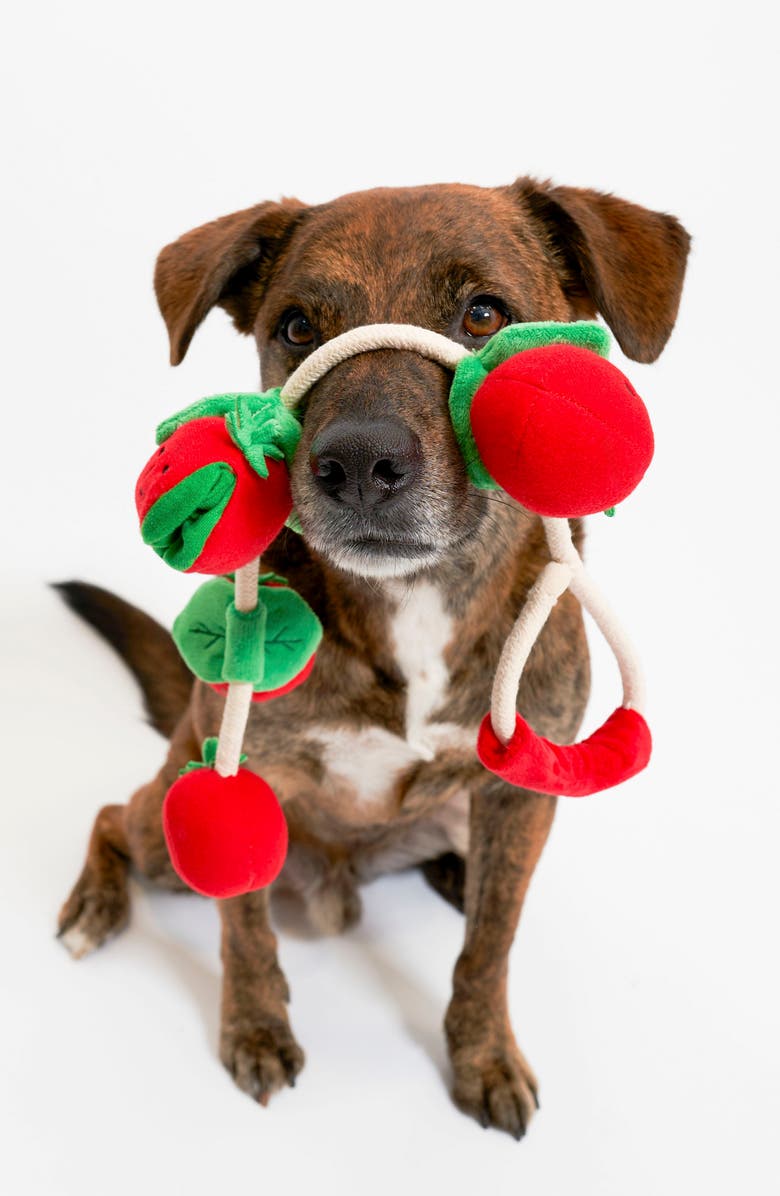 the furryfolks Cherry Tomato Nosework & Tug Toy, Alternate, color, Red