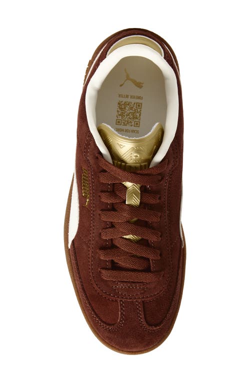 Puma Club Ii Era Sneaker In Brown