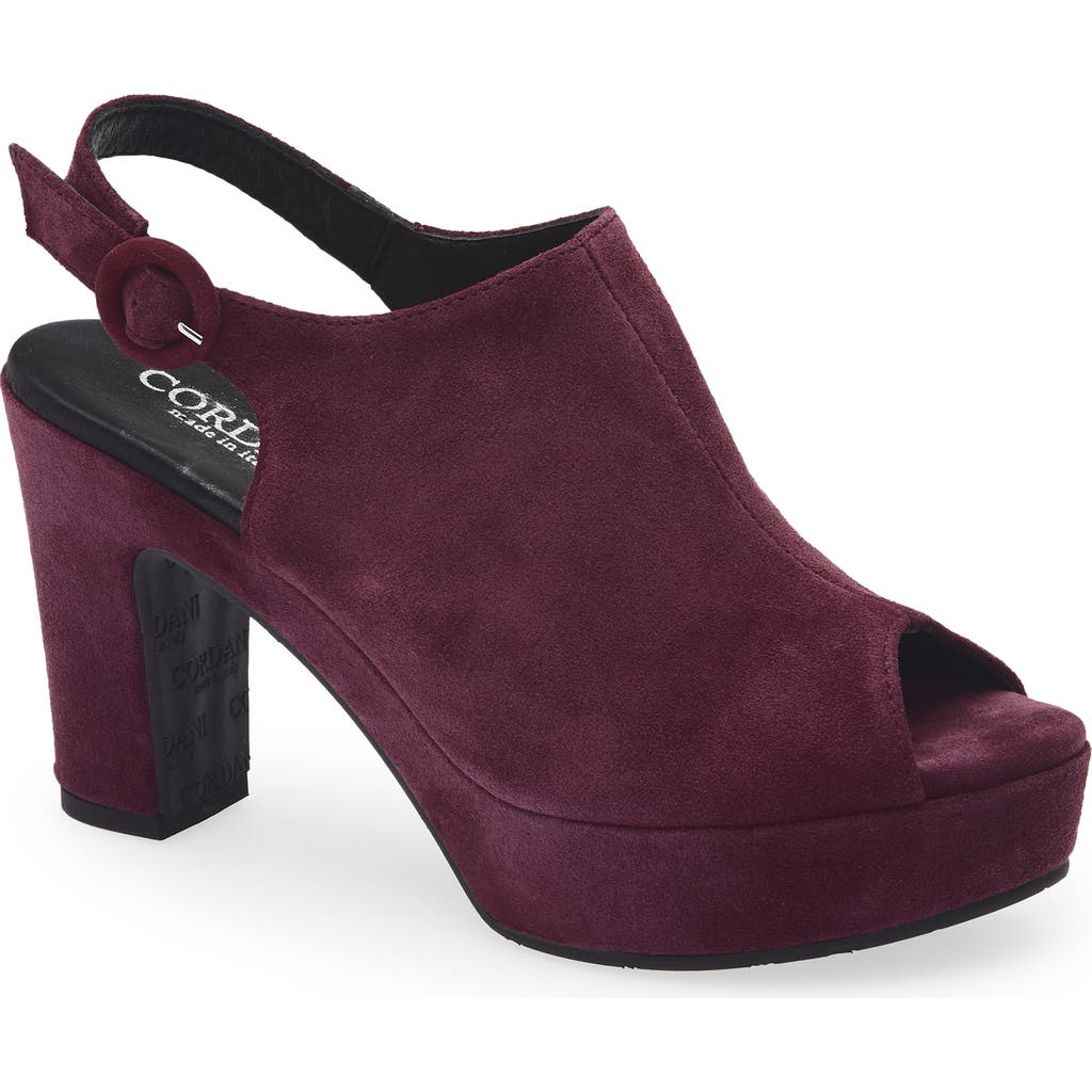 Cordani Tess Slingback Platform Sandal In Burgundy