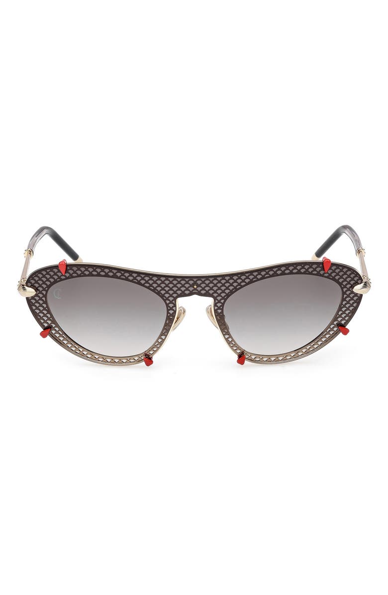 Christian Louboutin Oval Sunglasses, Main, color,