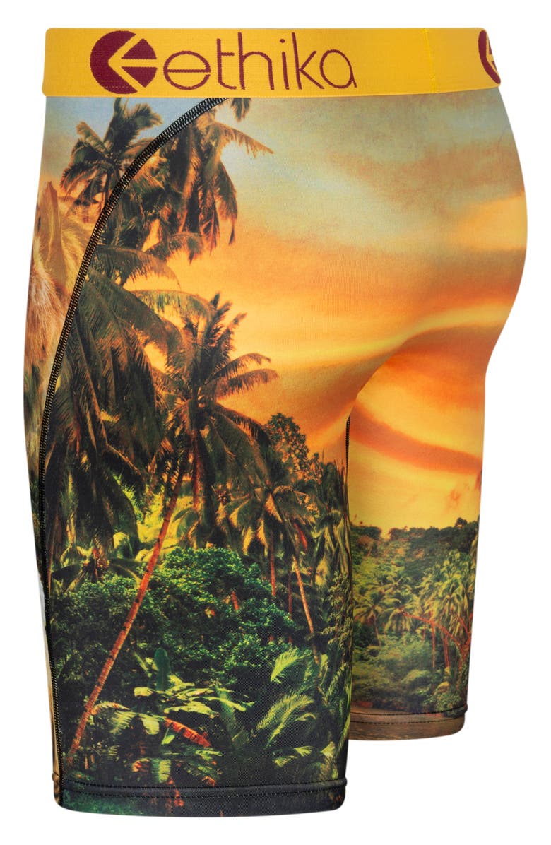 Ethika Kids' Easy Tiger Boxer Briefs, Alternate, color,