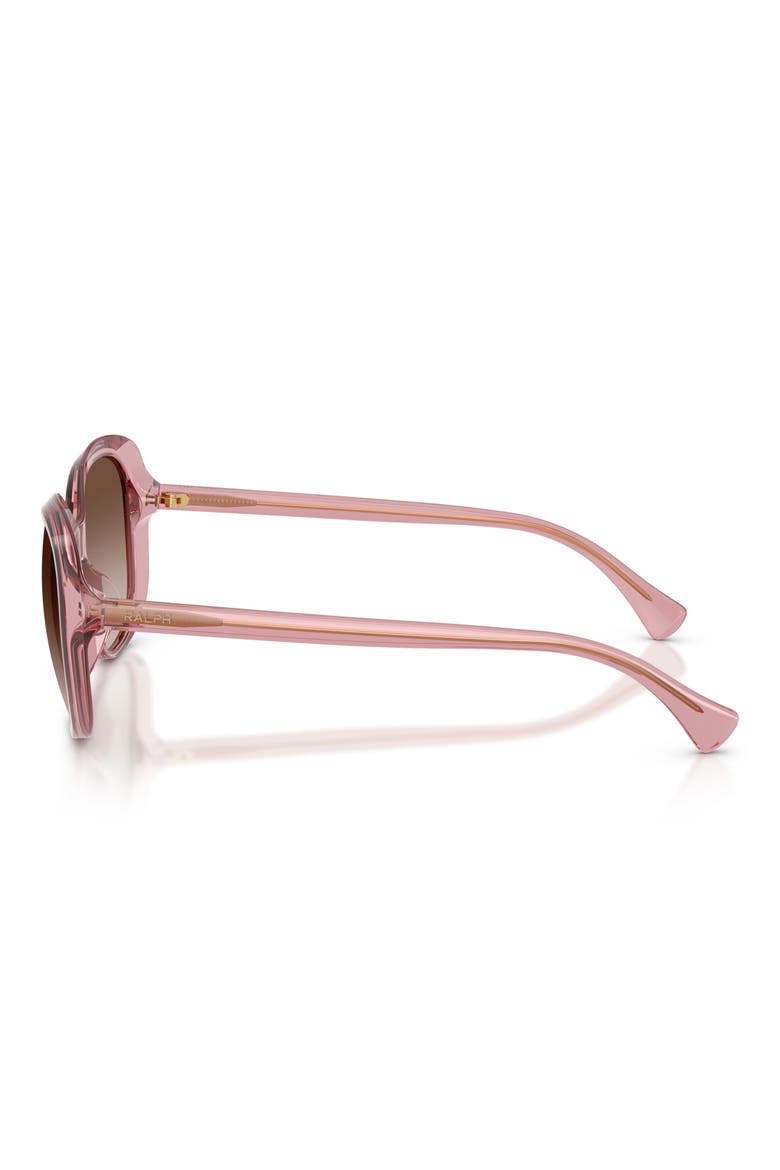 56mm Gradient Round Sunglasses, Alternate, color, TRANSPARENT VIOLET / BROWN