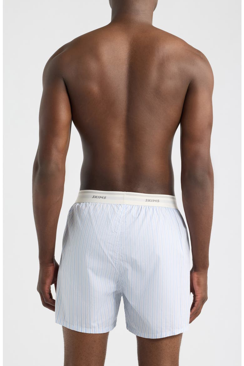 Logo Band Cotton Boxers, Alternate, color, PLATINUM DOUBLE STRIPE