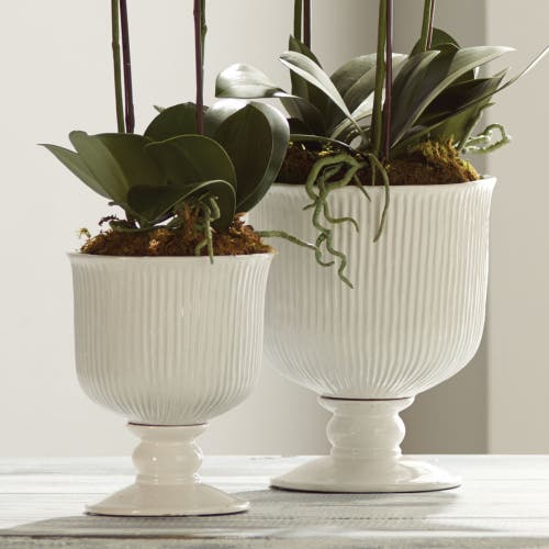 Napa Home & Garden Sinclair Footed Urn 11" In White