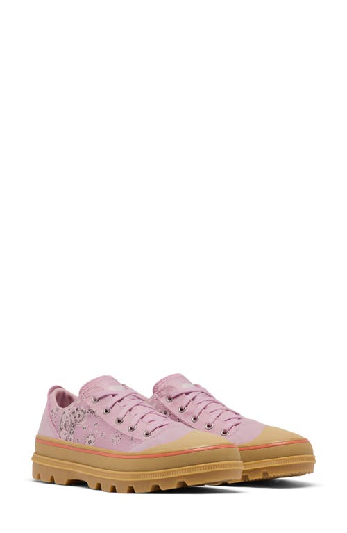 Sorel Scout N About™ Low Sneaker In Aura/gum