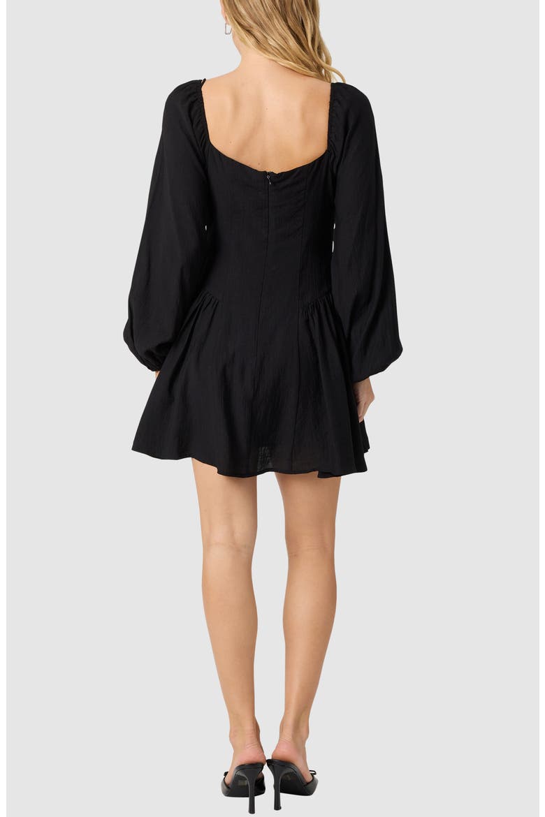 Long Sleeve Minidress, Alternate, color, BLACK