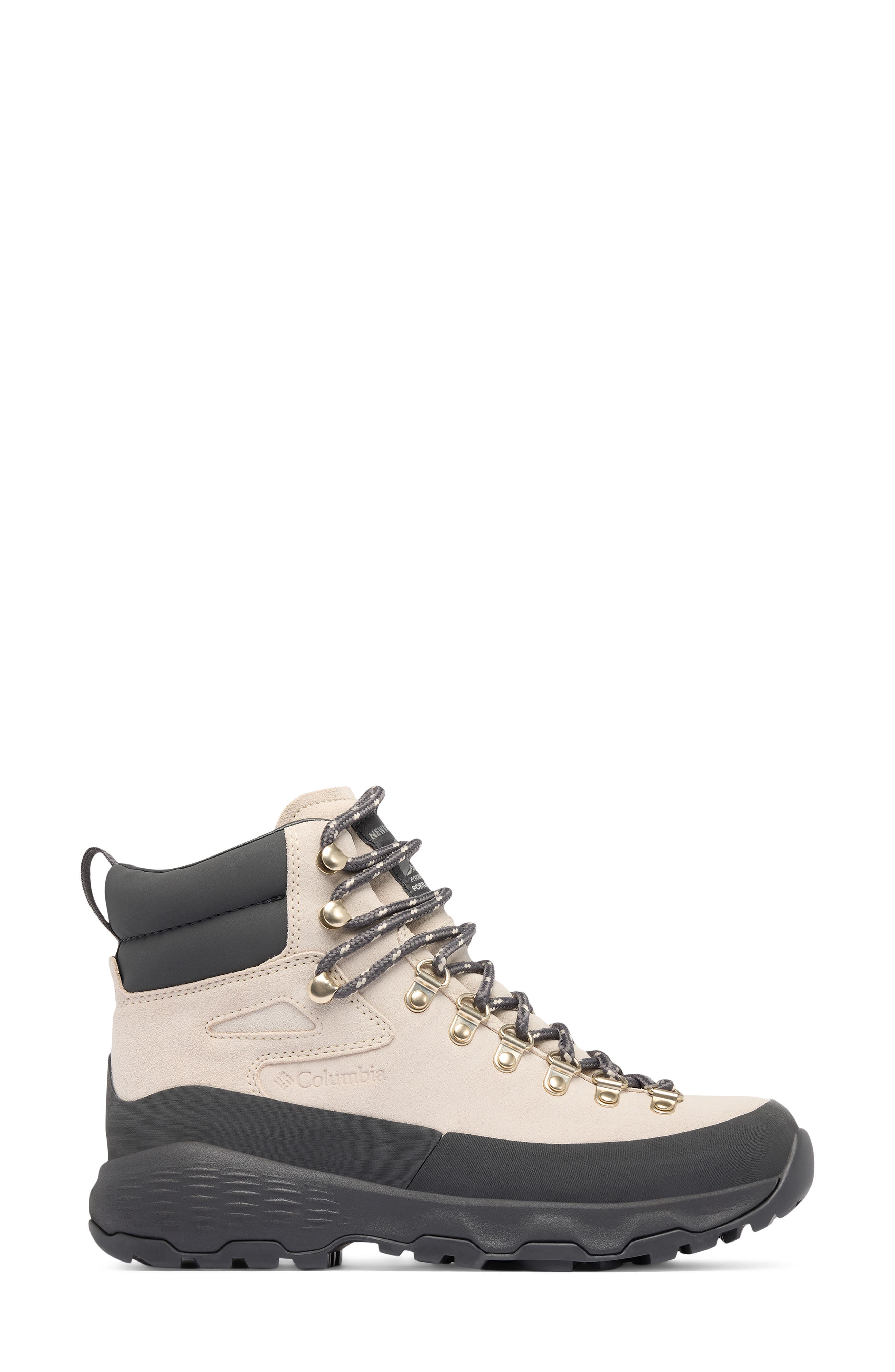 Newton Alpine PT Waterproof Hiking Boot, Alternate, color, CLOUD GREY/ SHARK