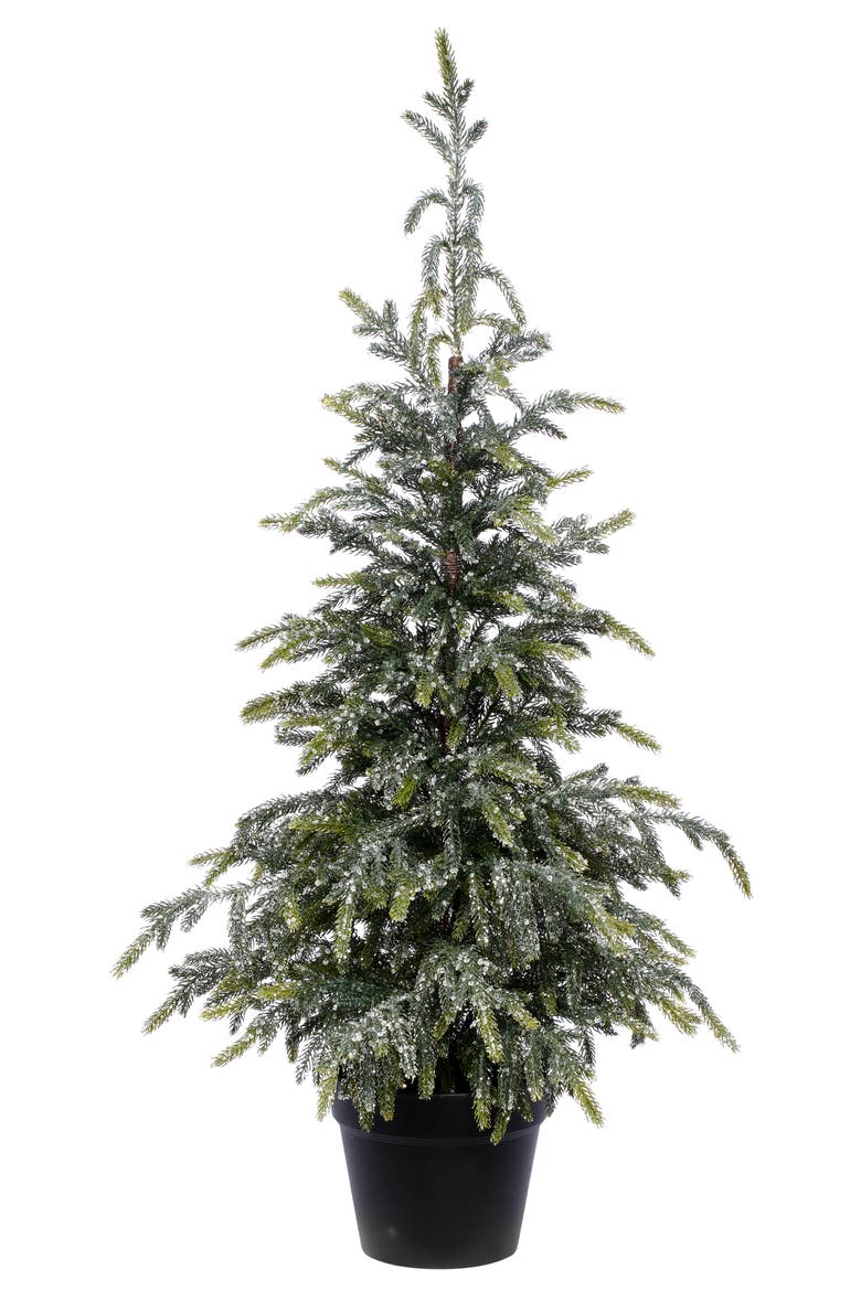 Evergreen Potted Tree, Main, color, Green