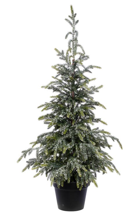 Evergreen Potted Tree