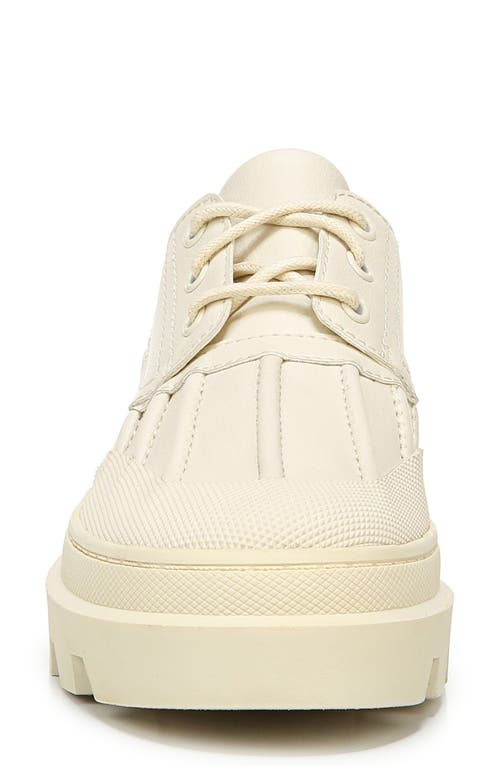Circus Ny By Sam Edelman Circus By Sam Edelman Isa Sneaker In White