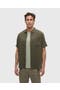  Deep Olive/Double Stripe