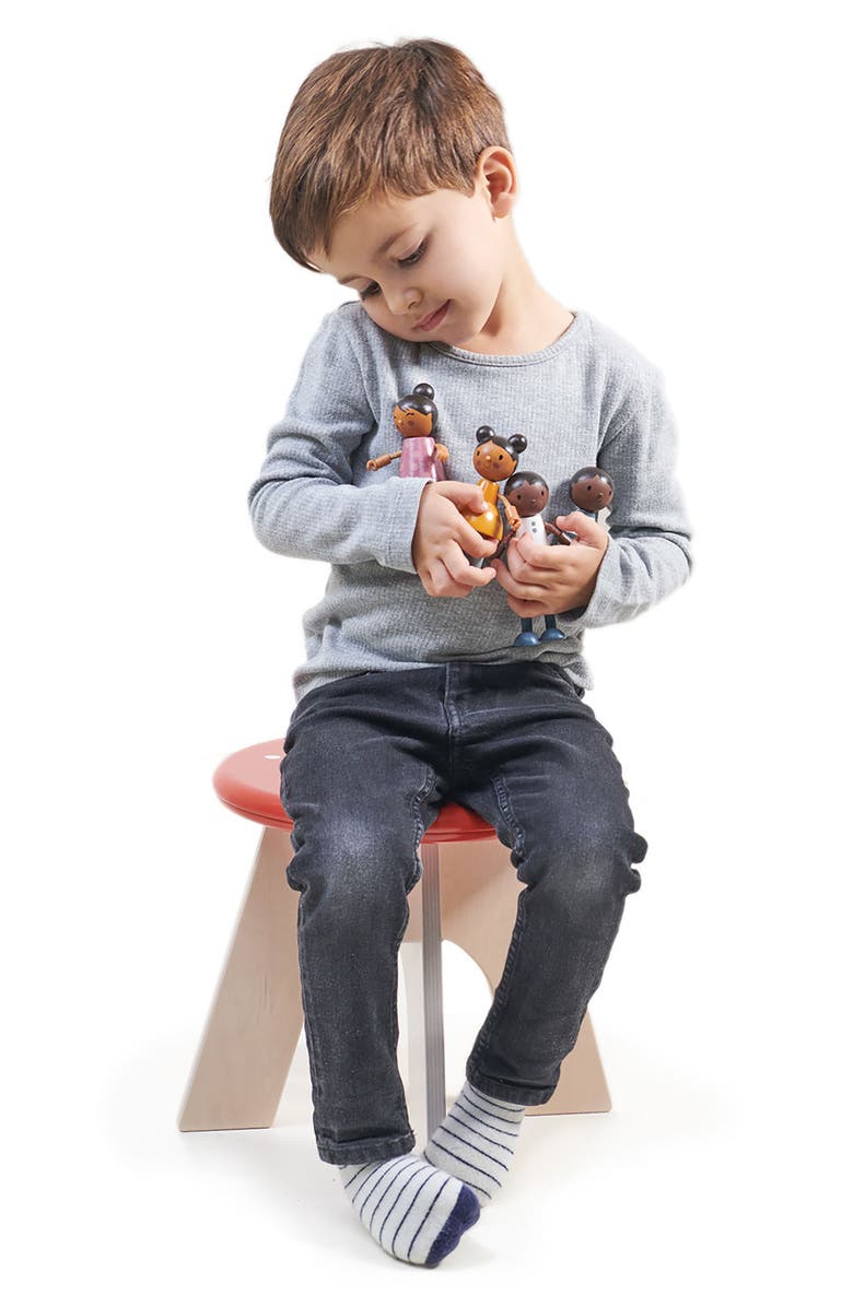 Tender Leaf Toys 4-Piece Hummingbird Doll Family Set, Alternate, color, Multi