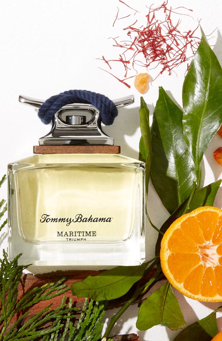 Tommy Bahama Maridtime Triumph 3-Piece Set, Alternate, color, 