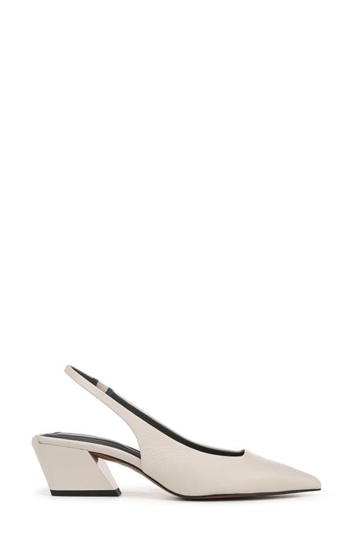 SARTO BY FRANCO SARTO SARTO BY FRANCO SARTO GENA SLINGBACK POINTED TOE PUMP