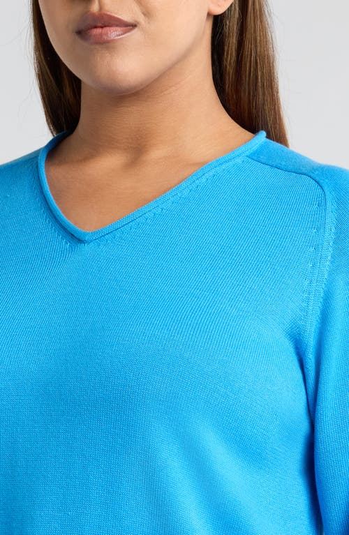 Eileen Fisher V-neck Sweater In Blue