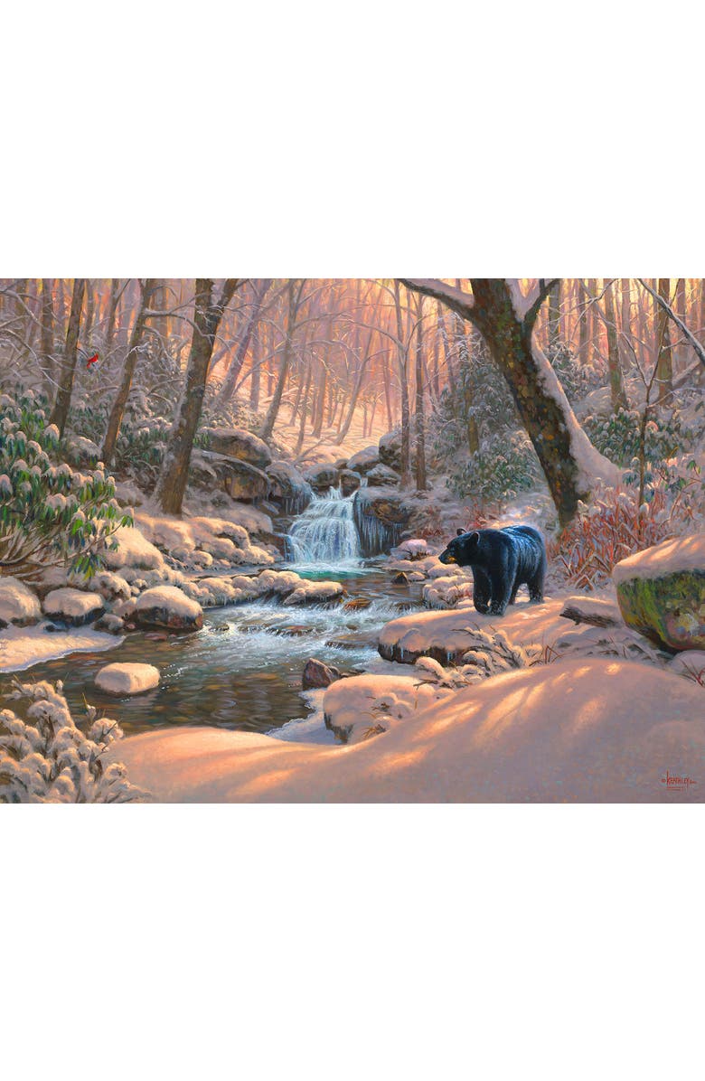 Sunsout Seasons of Life 1000 piece Jigsaw Puzzle for Adults, Alternate, color, Multicolor